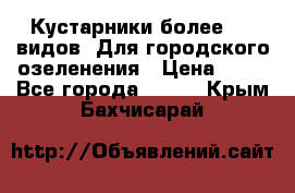 Кустарники более 100 видов. Для городского озеленения › Цена ­ 70 - Все города  »    . Крым,Бахчисарай